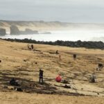 On the coast of France, watertight packets have been found. They Carried 2,300 Kilograms of Cocaine
