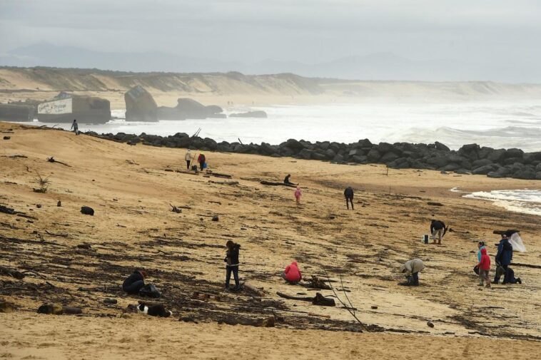 On the coast of France, watertight packets have been found. They Carried 2,300 Kilograms of Cocaine