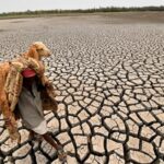 El Nino Is Likely To Return, Which Could Cause A Global Temperature Increase: UN Agency