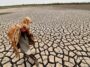 El Nino Is Likely To Return, Which Could Cause A Global Temperature Increase: UN Agency