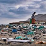 Since 2005, unprecedented rise in oceans plastic pollution