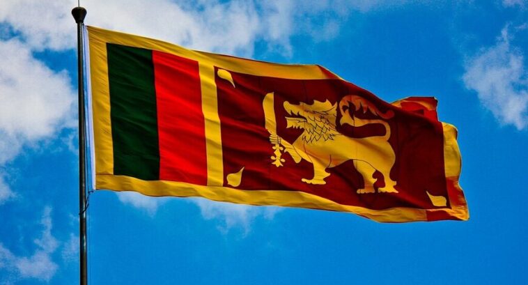 Sri Lanka Will Request USD 1 Billion Credit From India For Essential Goods: Report