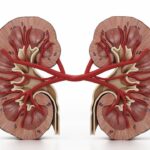 According To A Nutritionist, Five Herbs To Support Your Kidneys