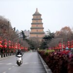 Online Criticism Regarding a Chinese City's Proposed Lockdowns Against Flu Outbreaks