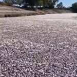 US nuclear power plant leaked 4 Lakh gallons of radioactive water