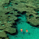 US couple sues snorkelling company in Hawaii for $5 million