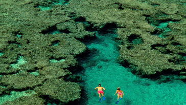 US couple sues snorkelling company in Hawaii for $5 million