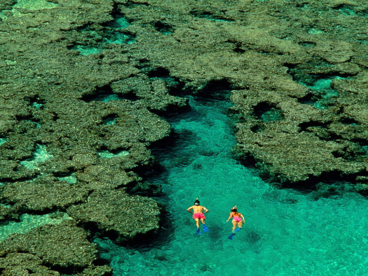 US couple sues snorkelling company in Hawaii for $5 million