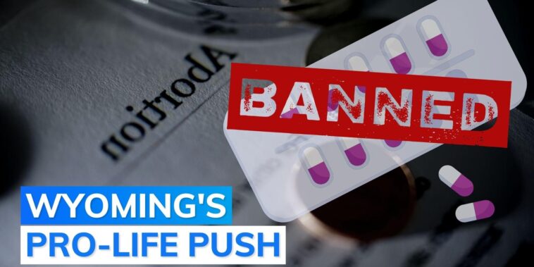 "All Life Is Sacred": A US State Bans Abortion Pills As Part Of A Pro-Life Effort