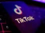 British parliament blocks TikTok