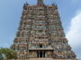 TN: 'Chithirai' festival flag-raising at Madurai Meenakshi Amman temple