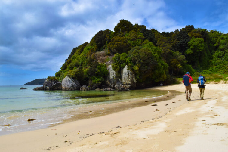 Stewart Island Beach