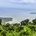 Mount Harriet National Park