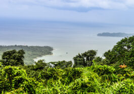 Mount Harriet National Park