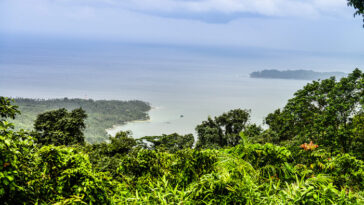Mount Harriet National Park