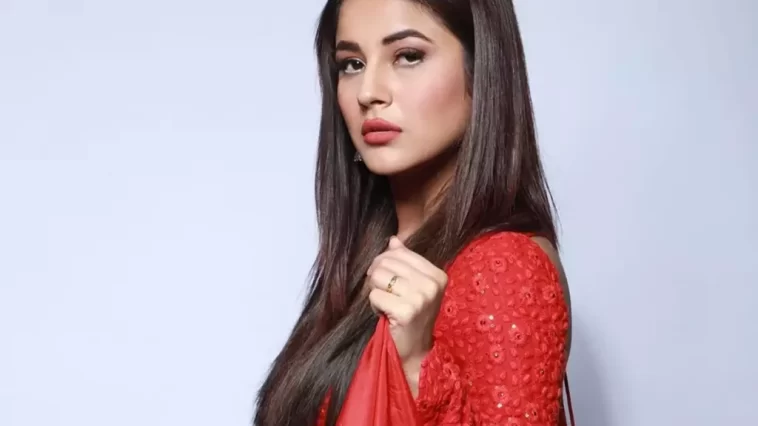 Bigg Boss body Shamed Shehnaaz Gill