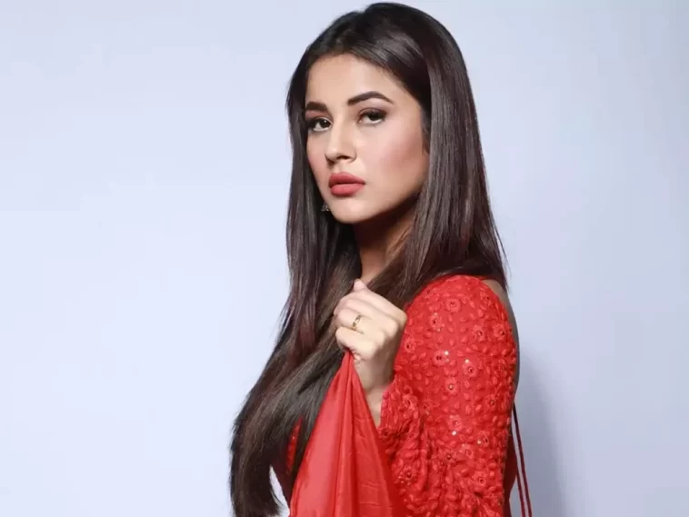 Bigg Boss body Shamed Shehnaaz Gill