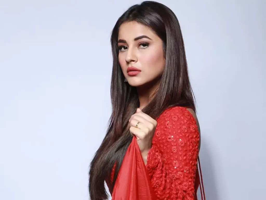 Bigg Boss body Shamed Shehnaaz Gill