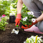 Top 11 Unbelievable Benefits Benefits Of Gardening