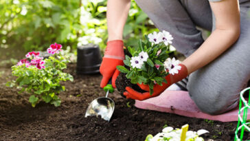 Top 11 Unbelievable Benefits Benefits Of Gardening