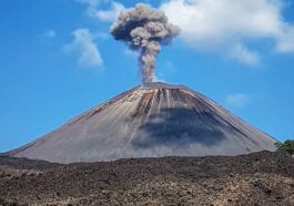 Barren Island, Havelock Island