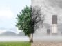 Air Pollution