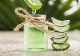 Aloe Vera for Sunburns: Does It Help?