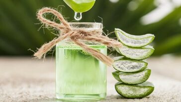 Aloe Vera for Sunburns: Does It Help?