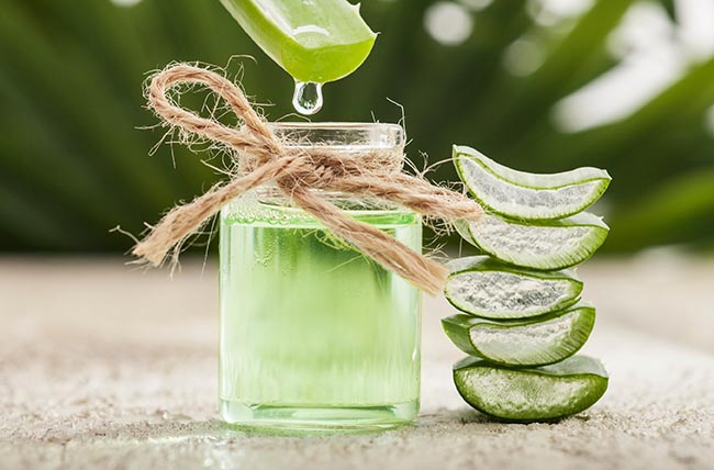 Aloe Vera for Sunburns: Does It Help?