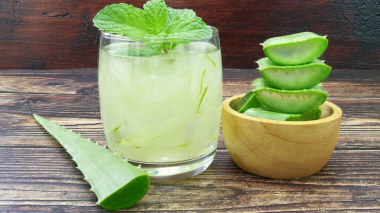 The Benefits of Drinking Aloe Vera Juice