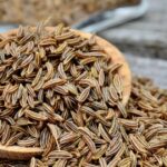 Caraway Seeds: Uses, Benefits & Side Effects