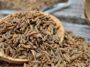 Caraway Seeds: Uses, Benefits & Side Effects