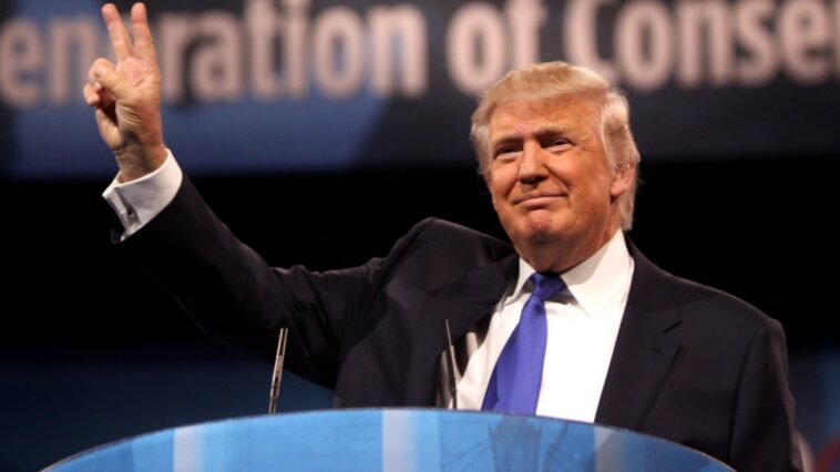 Donald Trump Raped groped ex Columnist E Jean Carroll