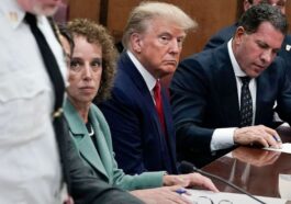 Yes, no, not guilty: Voluminous Donald Trump only spoke six times during the hearing