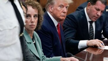 Yes, no, not guilty: Voluminous Donald Trump only spoke six times during the hearing