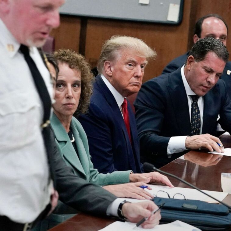 Yes, no, not guilty: Voluminous Donald Trump only spoke six times during the hearing