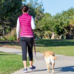 10 Benefits Of Morning Walks