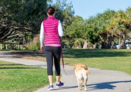 10 Benefits Of Morning Walks