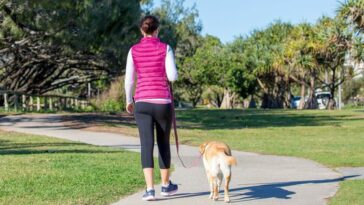 10 Benefits Of Morning Walks