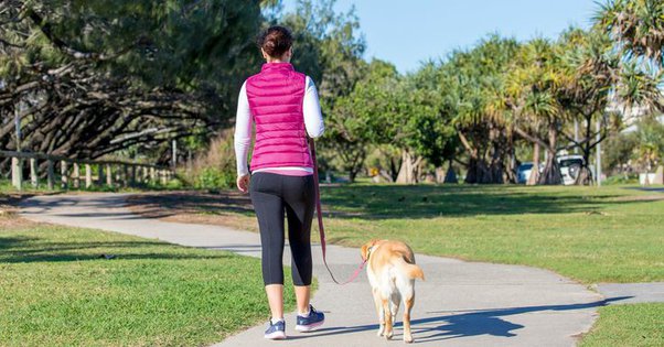 10 Benefits Of Morning Walks