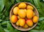 10 Amazing Benefits Of Mango For Skin Health