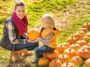 6 Surprising Health Benefits of Pumpkin