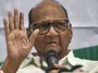 NCP's Sharad Pawar to skip Opposition's meet in Bengaluru on Day 1
