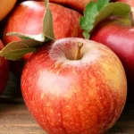 India amends apple import policy