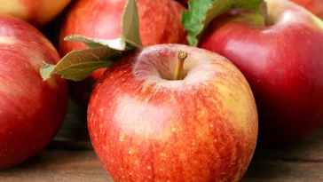 India amends apple import policy