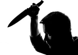 Mumbai Woman Chopped Into Pieces In Mira Road Area; Live-In-Partner Detained