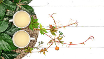 Benefits of Ayurvedic foods: Trust these 5 Ayurvedic foods