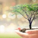 Benefits of Planting Trees