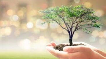 Benefits of Planting Trees