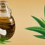 Care For Your Hair With Aloe Vera and Coconut Oil